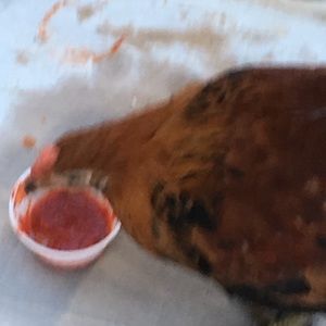 Meet your Posher, Bridget